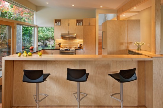 Mid-Century Sanctuary (Cushing Terrell)