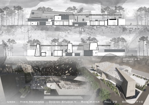 Sections + Views