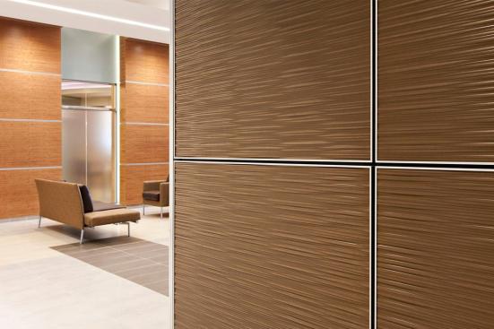 LEVELe Wall System with Capture panels; insets in Bonded Bronze with Natural Patina and Kalahari pattern at Princeton Medical Arts Pavilion, Plainsboro, New Jersey