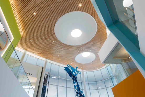 Skylights illuminate the Life Center, providing a vibrant entry and central connection to the clinical pods. 