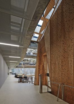 Around the entrances to the Suspended Studio on the upper levels are open work areas where students can collaborate.