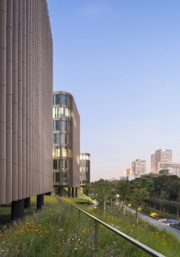 Facade detail from the built landscape and urban context