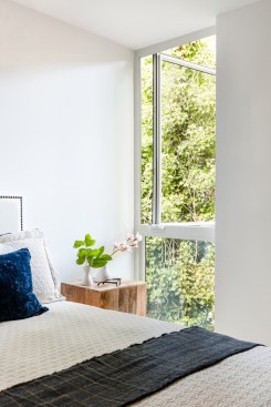Tsuga Townhomes