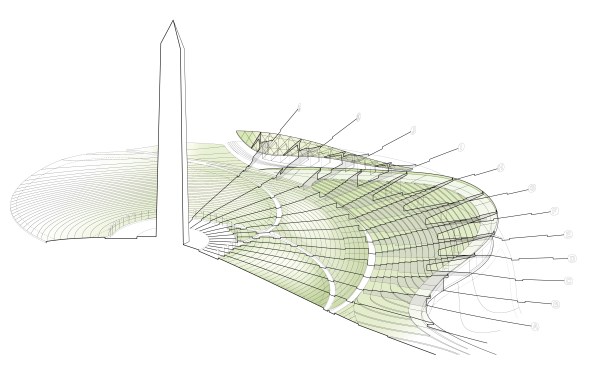 Radial section diagram. 