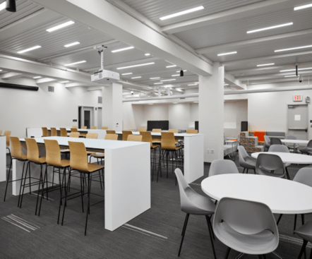 Lounge and Study Area