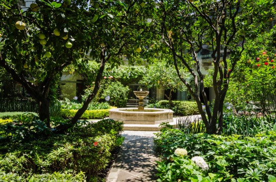Be Grand, Park San Angel - IDEA Asociados