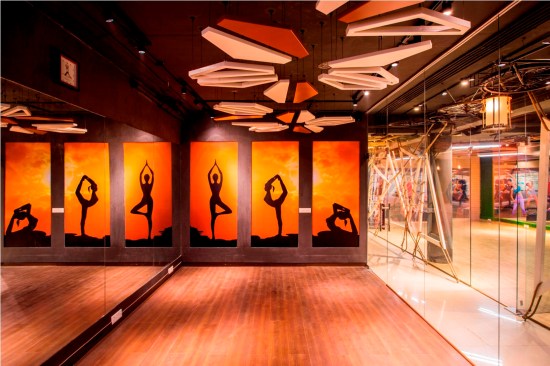 STUDIO INTERIORS
View inside a typical studio with hanging metal structures form the ceiling