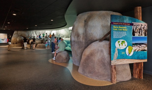 Penguin exhibit with entry signage