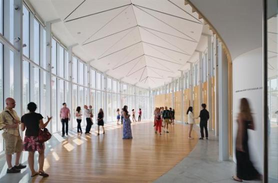 The curving exhibition gallery terminates in the leaf-shaped event space, which is lined with milled ginkgo boards harvested from one of the few trees that had to be felled in order to make way for the new building.