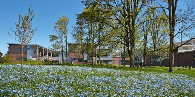 Carl Sandburg Elementary School. Kirkland, Washington
by NAC|Architecture