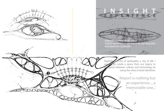 Insight