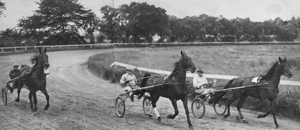 Horse Trotting