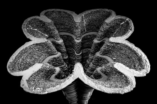 As part of their work at Cornell University, Lok and Zivkovic aim to answer the question, “What is the architecture of 3D-printed concrete?” with their Additive Architectural Elements research.  