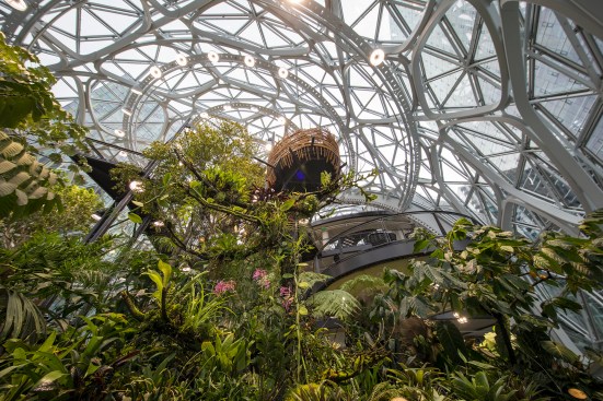 Greenery inside the Amazon's Seattle Spheres
