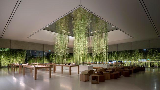 Nigel Young