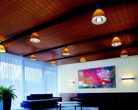 Product: WOODWORKS&reg; Access Custom Clouds Perforated in Custom Light Cherry stain &nbsp; 
Project: Sepracor, Inc., Marlborough, MA &nbsp; 
Architect: Clifford/Hoffman Associates, Inc., Boston, MA