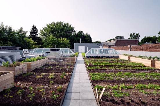 The rooftop garden, seen here shortly after being planted, provides hyper-local produce.