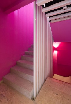 CD8 - Boue Arquitectos