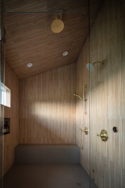Shower, Primary Bathroom