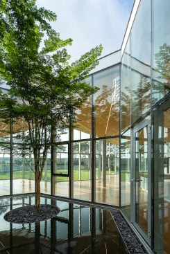 Indoor Courtyard