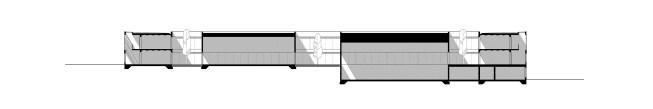 section 
