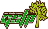 Tree Service Pros Fair Oaks