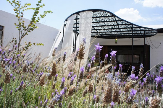 Casa Clemente - Juan Carlos Loyo Arquitectura