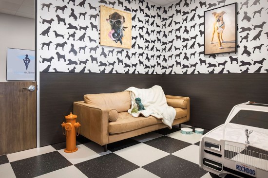 Pop-art inspired pet day care room with checkered flooring, dog silhouette wallpaper, and a miniature Rolls-Royce animal playpen