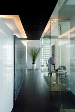 Fusion Corporativa - Serrano Monjaraz Arquitectos