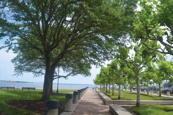Waterfront Park