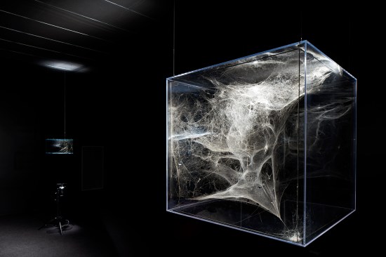 Tom&aacute;s&nbsp;Saraceno's spiderwebs exhibit, which magically displays the wondrous geometries of nature