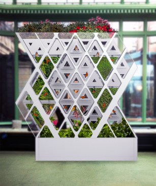 From Cooper Hewitt: Terreform ONE’s Monarch Sanctuary, which will transform Cooper Hewitt’s conservatory into a haven for monarch butterflies. These insects, whose wild populations are being decimated by climate change, will be released periodically during the exhibition.