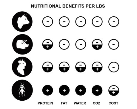 Harvesting insects for food takes about 300 times less water than acquiring the same amount of protein from cattle, pigs, and chicken.