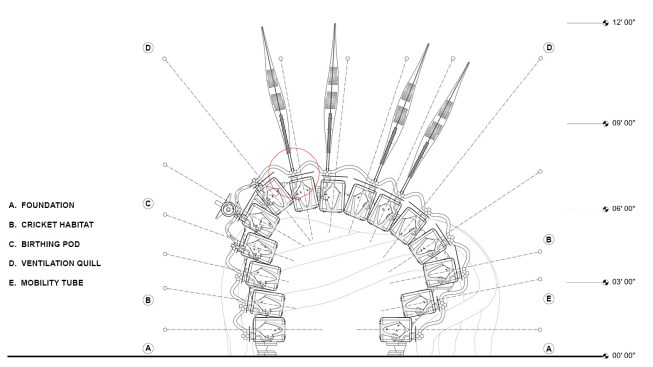 Section drawing through cricket shelter