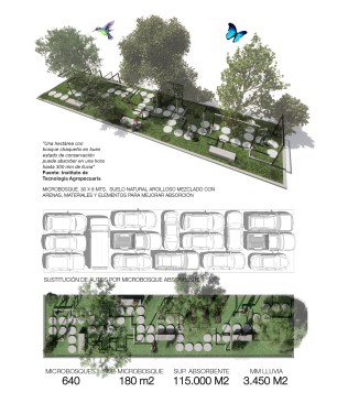MICRO FORESTS