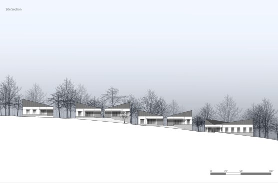Site Section