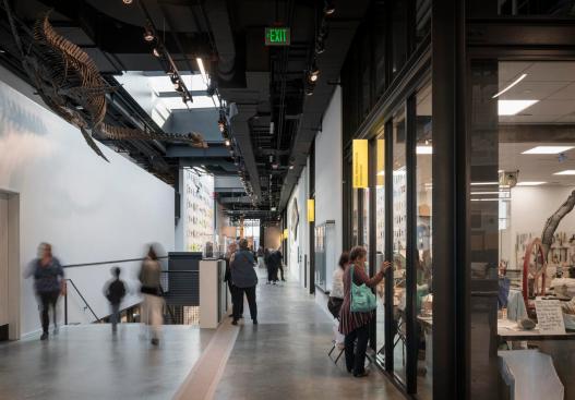 The Burke Museum | Olson Kundig