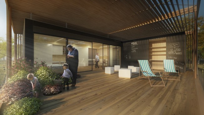 Terrace.