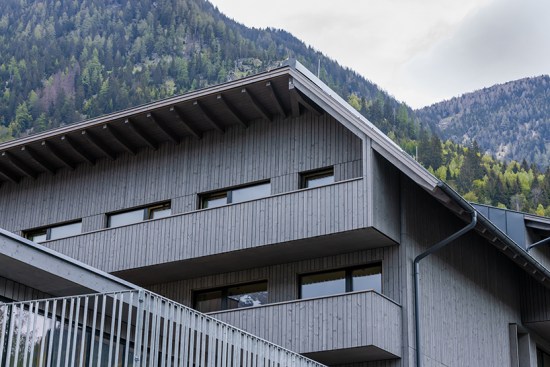west facade / The choice of the facade material and colour originates in the hotel's scenery, with trees overgrown mountains.