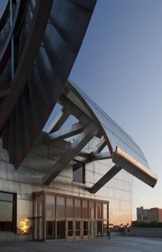 Steel+struts+prop+up+a+stainless+steel+canopy+on+the+2011+addition.