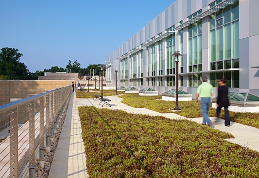 East terrace