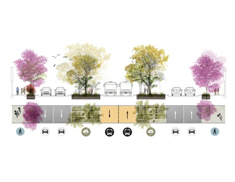 AVENUE SECTION