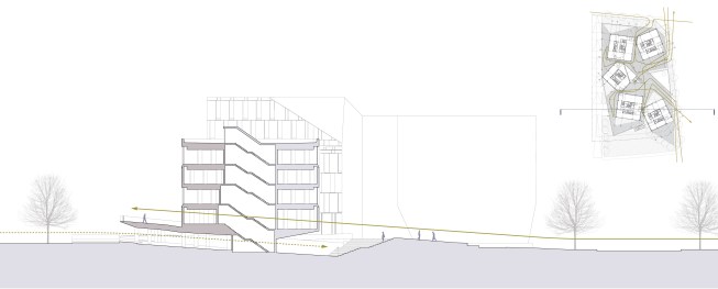 Site section. 