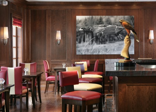 Falcon Bar