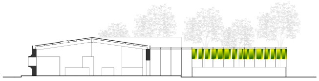 section