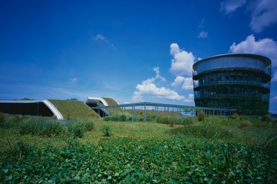 Rooftop Greening