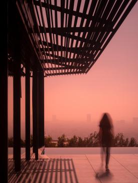 Collywood | Olson Kundig