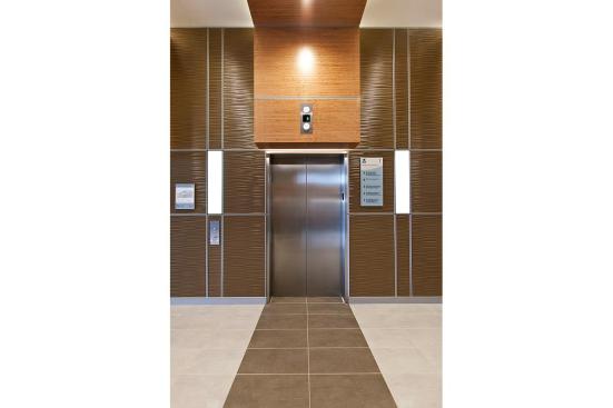 LEVELe Wall System with Capture panels; insets in Bonded Bronze with Natural Patina and Kalahari pattern; LightPlane panels in ViviChrome Chromis glass with White interlayer and Standard finish at Princeton Medical Arts Pavilion, Plainsboro, New Jersey