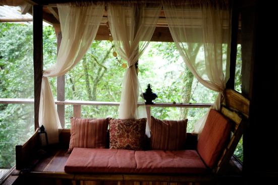 From the&nbsp;window seat in the Mis Ojos treehouse, residents get a good glimpse of the&nbsp;arboreal offerings.