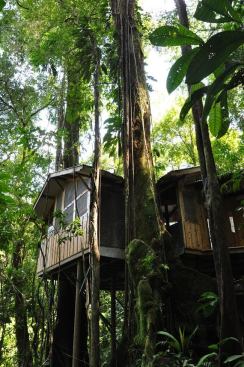 A shot of&nbsp;Casa Mariposa from the side.